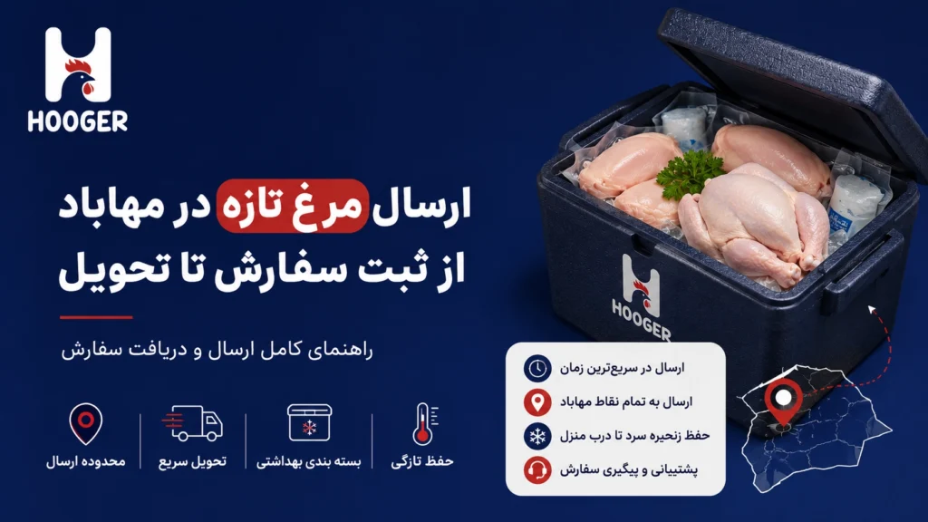 ارسال مرغ تازه در مهاباد؛ از ثبت سفارش تا تحویل