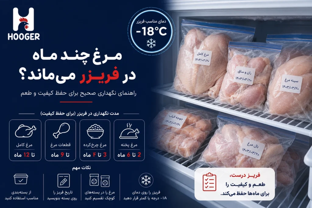 مرغ چند ماه در فریزر می‌ماند؟ راهنمای بسته‌بندی و نگهداری صحیح