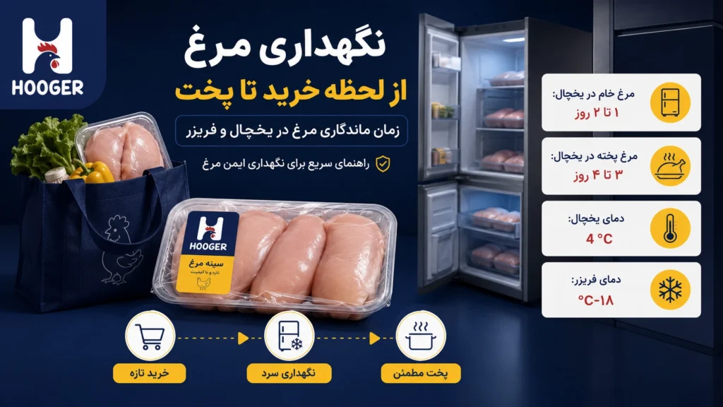 نگهداری مرغ از لحظه خرید تا پخت؛ زمان ماندگاری مرغ در یخچال و فریزر