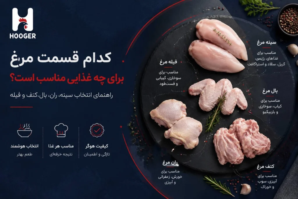 کدام قسمت مرغ برای چه غذایی مناسب است؟ راهنمای انتخاب سینه، ران، بال، کتف و فیله