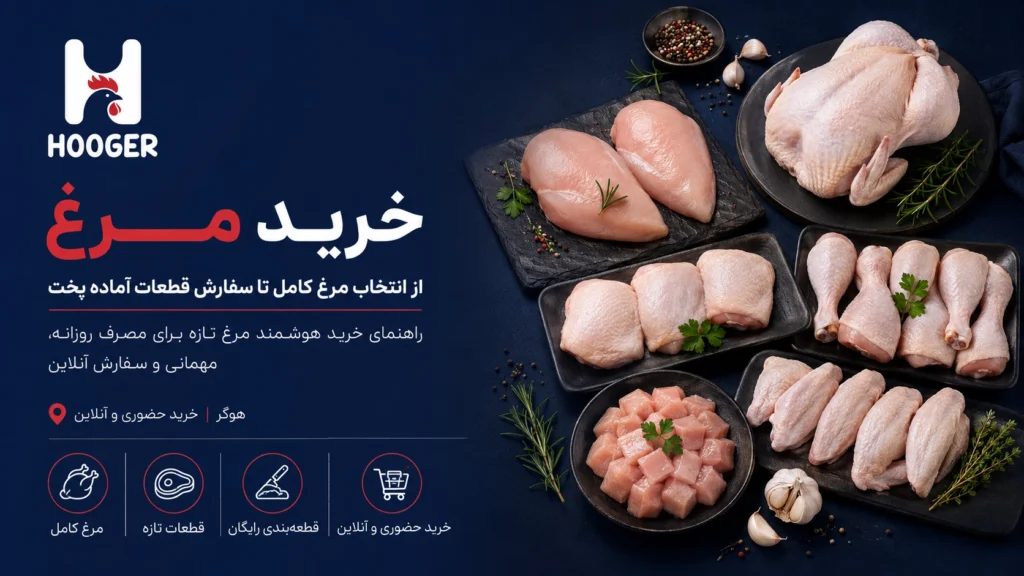 خرید مرغ؛ راهنمای کامل انتخاب مرغ تازه در مهاباد، قطعات مناسب و سفارش آنلاین