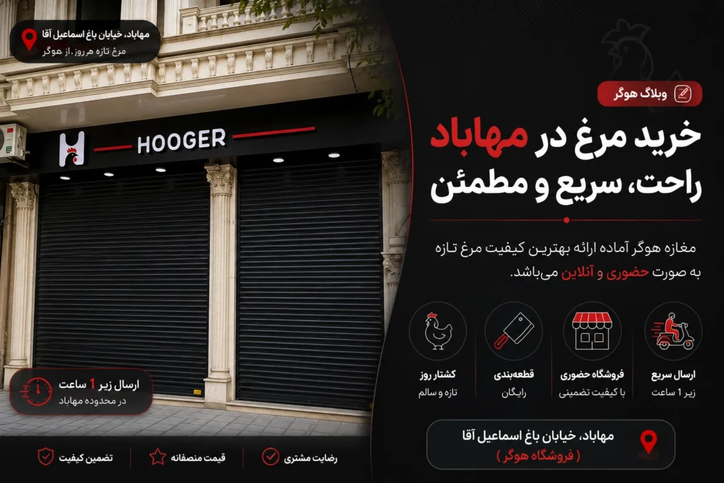 خرید مرغ در مهاباد؛ راهنمای انتخاب مرغ تازه، قطعه مناسب و سفارش سریع