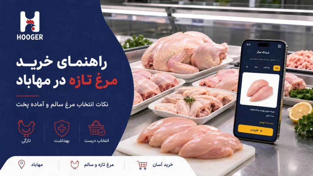 راهنمای خرید مرغ تازه در مهاباد؛ چطور مرغ سالم و آماده پخت انتخاب کنیم؟