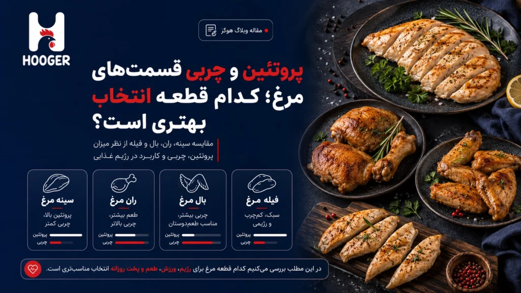 پروتئین و چربی قسمت‌های مرغ؛ کدام قطعه انتخاب بهتری است؟