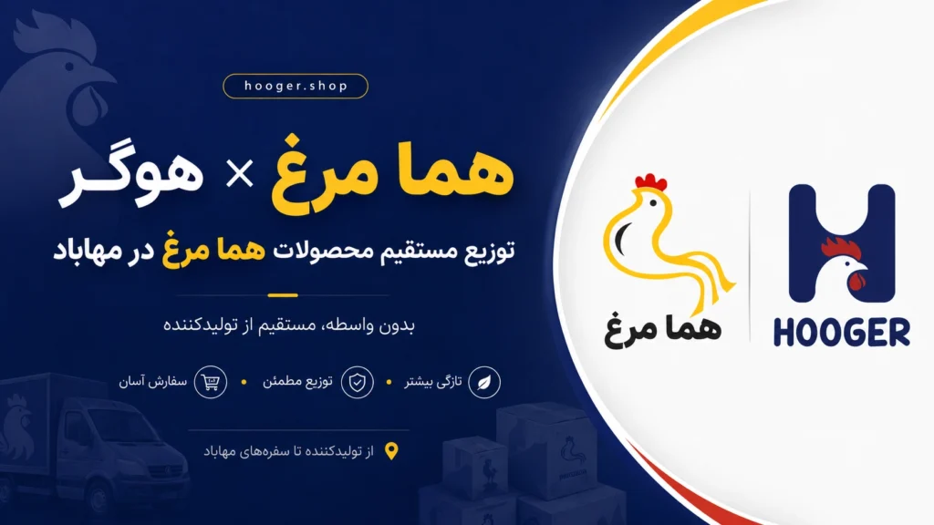 هوگر و هما مرغ؛ مسیر مستقیم مرغ تازه از تولیدکننده تا سفره‌های مهاباد