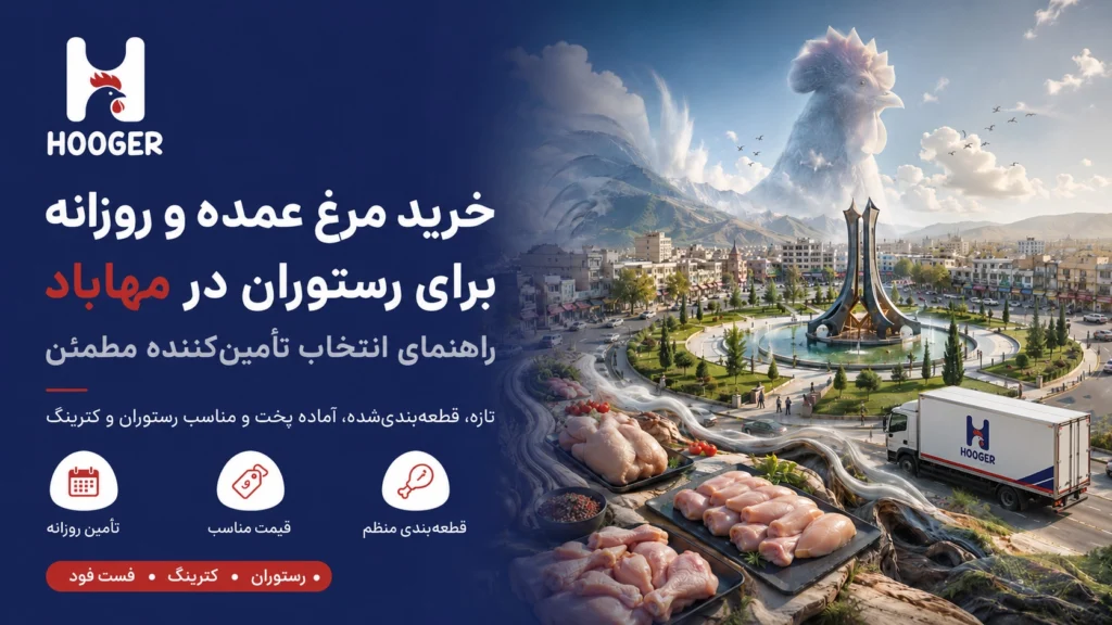 خرید مرغ عمده و روزانه برای رستوران در مهاباد؛ راهنمای انتخاب تأمین‌کننده مطمئن