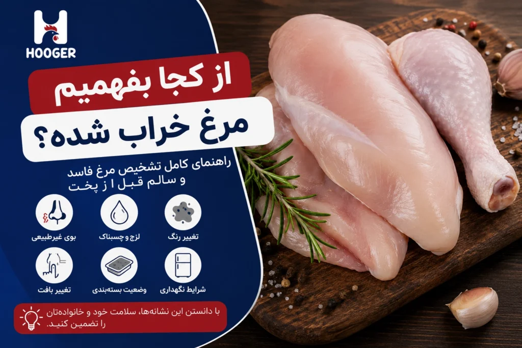 علائم خراب شدن مرغ؛ چگونه مرغ تازه را از مرغ فاسد تشخیص دهیم؟