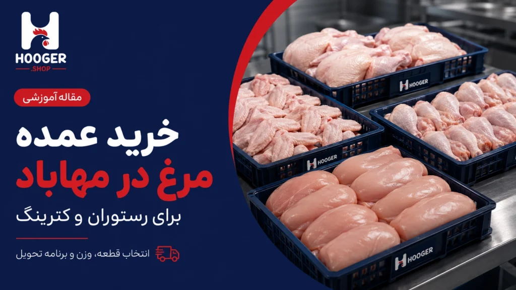 خرید عمده مرغ در مهاباد برای رستوران و کترینگ؛ انتخاب قطعه، وزن و برنامه تحویل