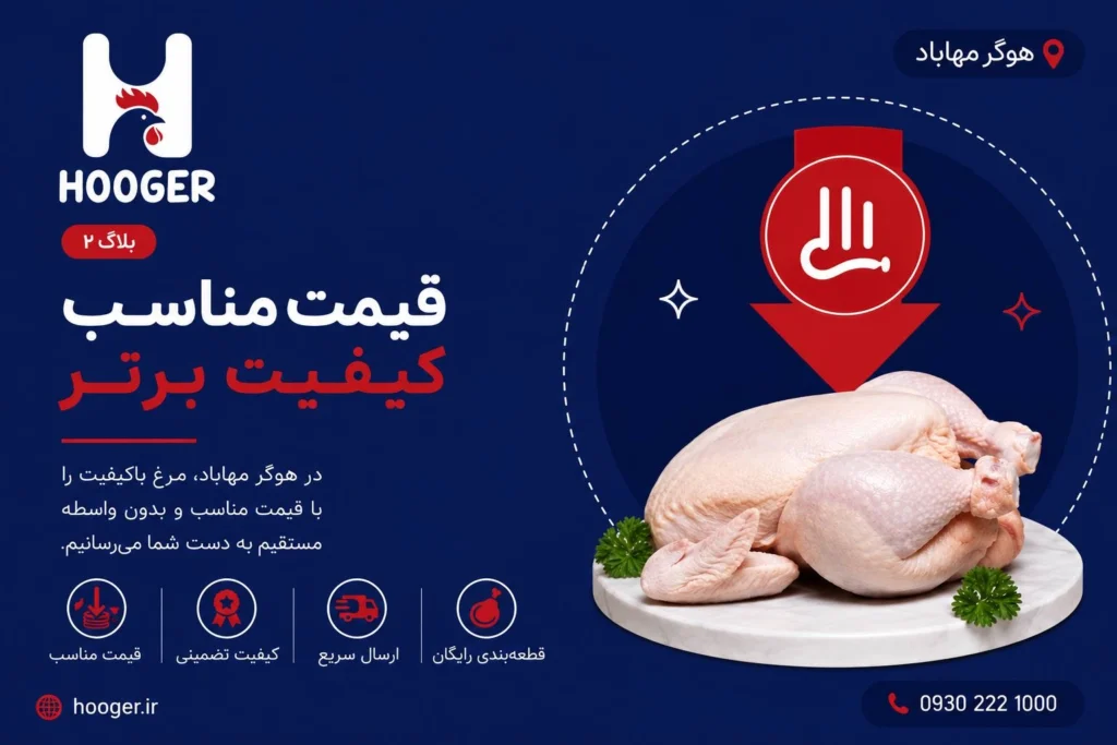 قیمت مناسب مرغ در مهاباد؛ نقش حذف واسطه در مدل هوگر