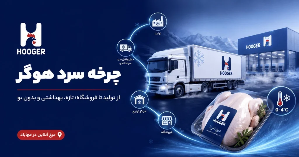 زنجیره سرد هوگر؛ راز حفظ تازگی مرغ از تولید تا فروش در مهاباد