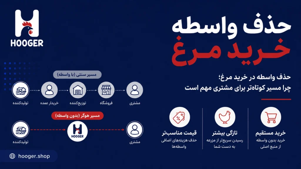 حذف واسطه در خرید مرغ؛ چرا مسیر کوتاه‌تر برای مشتری مهم است؟