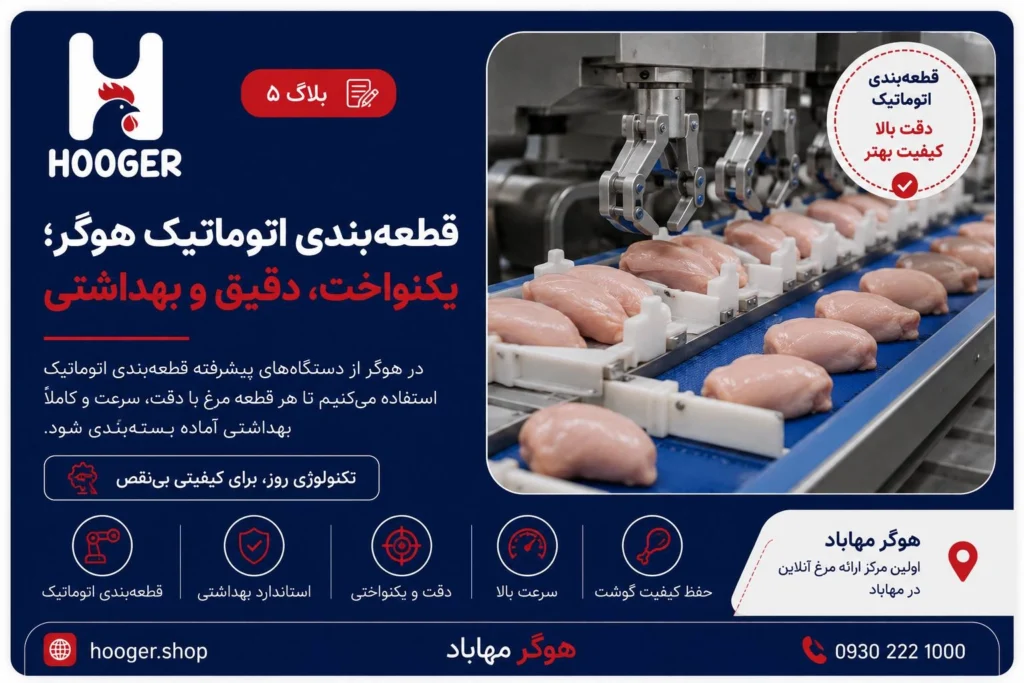 قطعه‌بندی رایگان مرغ هوگر؛ خریدی متناسب با سبک آشپزی شما